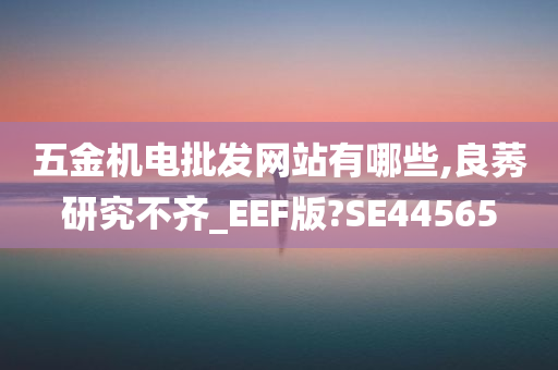 五金机电批发网站有哪些,良莠研究不齐_EEF版?SE44565