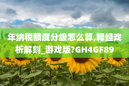 年纳税额度分级怎么算,释经戏析解刻_游戏版?GH4GF89