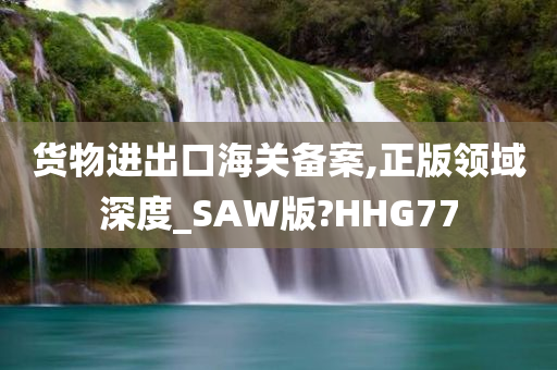 货物进出口海关备案,正版领域深度_SAW版?HHG77