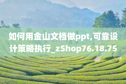 如何用金山文档做ppt,可靠设计策略执行_zShop76.18.75