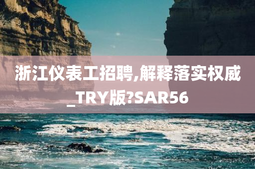 浙江仪表工招聘,解释落实权威_TRY版?SAR56