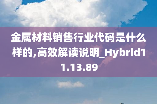 金属材料销售行业代码是什么样的,高效解读说明_Hybrid11.13.89