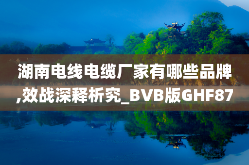 湖南电线电缆厂家有哪些品牌,效战深释析究_BVB版GHF87