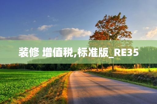 装修 增值税,标准版_RE35