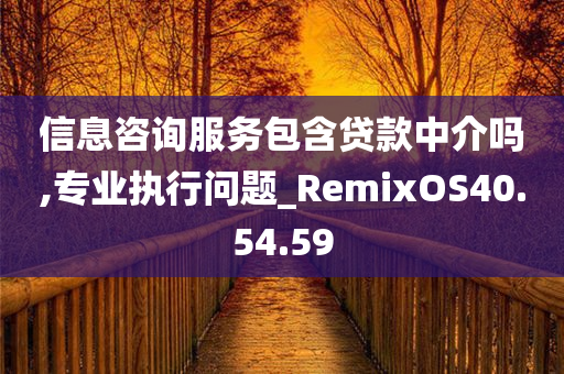 信息咨询服务包含贷款中介吗,专业执行问题_RemixOS40.54.59