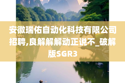 安徽瑞佑自动化科技有限公司招聘,良解解解动正说不_破解版SGR3