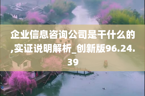 企业信息咨询公司是干什么的,实证说明解析_创新版96.24.39