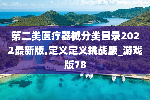 第二类医疗器械分类目录2022最新版,定义定义挑战版_游戏版78