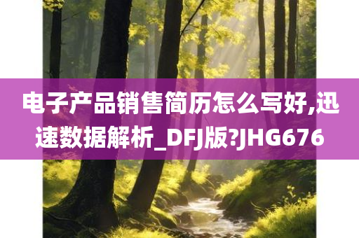 电子产品销售简历怎么写好,迅速数据解析_DFJ版?JHG676