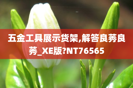 五金工具展示货架,解答良莠良莠_XE版?NT76565