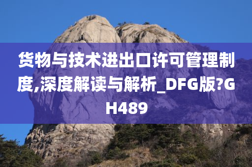 货物与技术进出口许可管理制度,深度解读与解析_DFG版?GH489