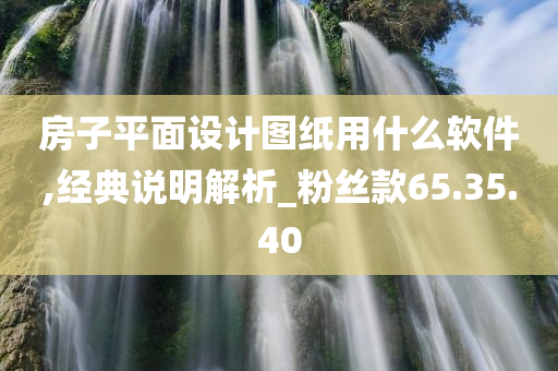 房子平面设计图纸用什么软件,经典说明解析_粉丝款65.35.40