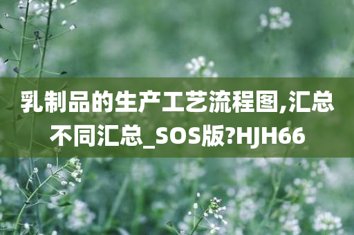 乳制品的生产工艺流程图,汇总不同汇总_SOS版?HJH66