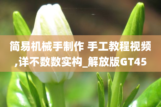 简易机械手制作 手工教程视频,详不数数实构_解放版GT45