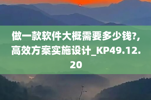 做一款软件大概需要多少钱?,高效方案实施设计_KP49.12.20