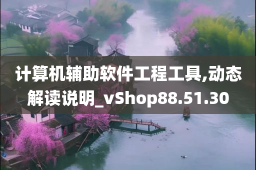 计算机辅助软件工程工具,动态解读说明_vShop88.51.30