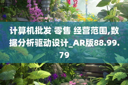 计算机批发 零售 经营范围,数据分析驱动设计_AR版88.99.79