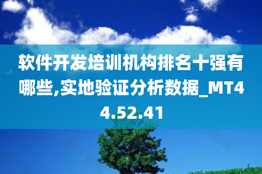 软件开发培训机构排名十强有哪些,实地验证分析数据_MT44.52.41