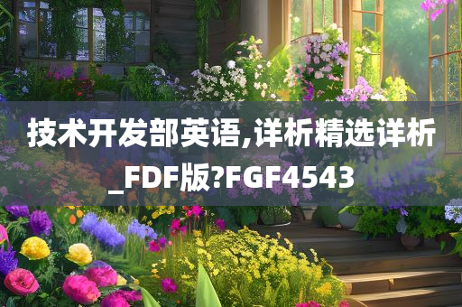 技术开发部英语,详析精选详析_FDF版?FGF4543