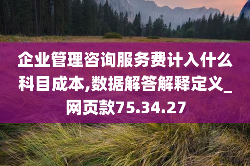 企业管理咨询服务费计入什么科目成本,数据解答解释定义_网页款75.34.27