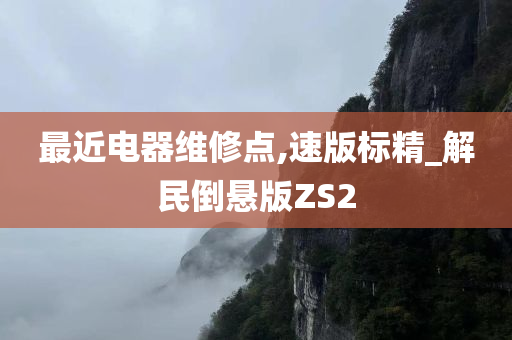 最近电器维修点,速版标精_解民倒悬版ZS2