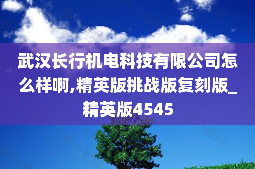 武汉长行机电科技有限公司怎么样啊,精英版挑战版复刻版_精英版4545