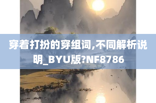 穿着打扮的穿组词,不同解析说明_BYU版?NF8786