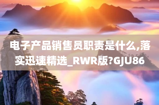 电子产品销售员职责是什么,落实迅速精选_RWR版?GJU86