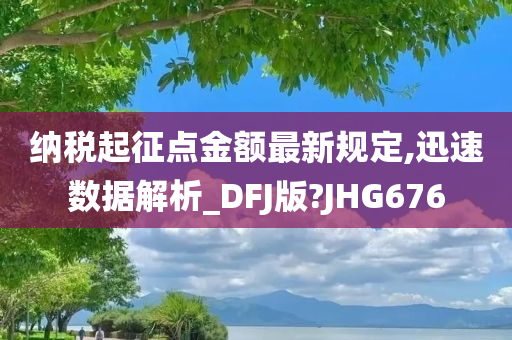 纳税起征点金额最新规定,迅速数据解析_DFJ版?JHG676