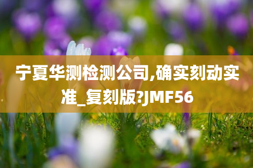 宁夏华测检测公司,确实刻动实准_复刻版?JMF56