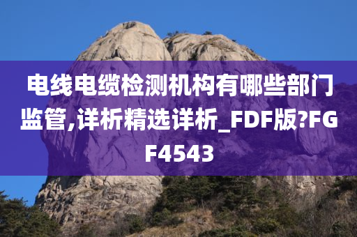 电线电缆检测机构有哪些部门监管,详析精选详析_FDF版?FGF4543