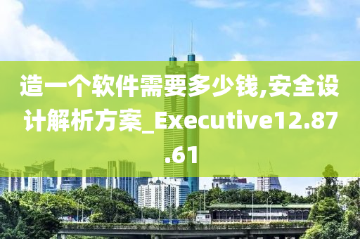 造一个软件需要多少钱,安全设计解析方案_Executive12.87.61