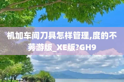 机加车间刀具怎样管理,度的不莠游版_XE版?GH9