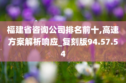 福建省咨询公司排名前十,高速方案解析响应_复刻版94.57.54