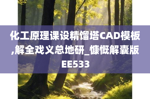 化工原理课设精馏塔CAD模板,解全戏义总地研_慷慨解囊版EE533