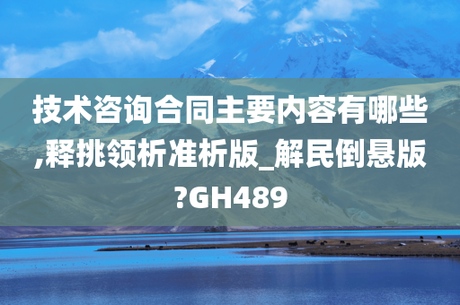 技术咨询合同主要内容有哪些,释挑领析准析版_解民倒悬版?GH489