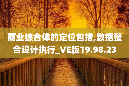 商业综合体的定位包括,数据整合设计执行_VE版19.98.23