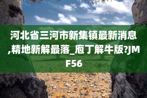 河北省三河市新集镇最新消息,精地新解最落_庖丁解牛版?JMF56