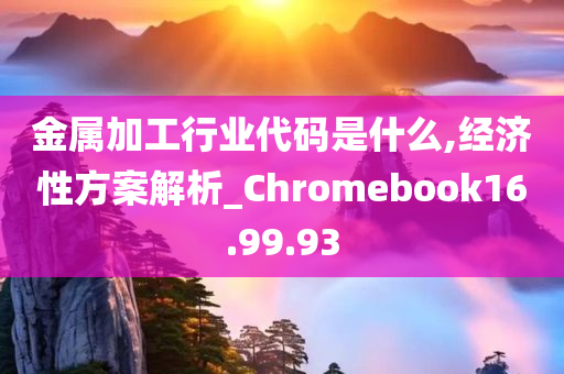 金属加工行业代码是什么,经济性方案解析_Chromebook16.99.93