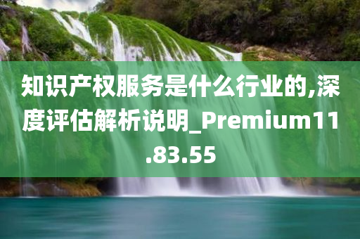 知识产权服务是什么行业的,深度评估解析说明_Premium11.83.55