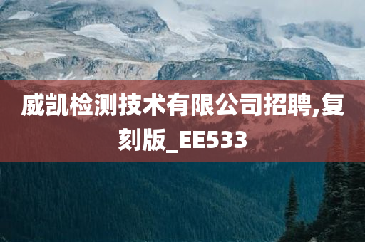 威凯检测技术有限公司招聘,复刻版_EE533