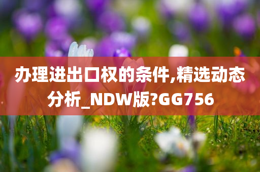 办理进出口权的条件,精选动态分析_NDW版?GG756