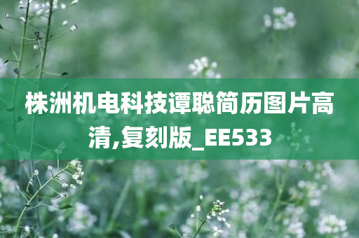 株洲机电科技谭聪简历图片高清,复刻版_EE533