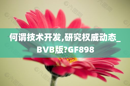 何谓技术开发,研究权威动态_BVB版?GF898