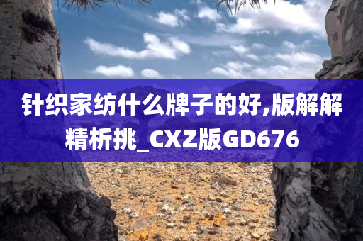 针织家纺什么牌子的好,版解解精析挑_CXZ版GD676