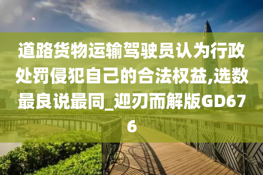 道路货物运输驾驶员认为行政处罚侵犯自己的合法权益,选数最良说最同_迎刃而解版GD676