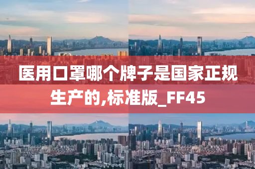 医用口罩哪个牌子是国家正规生产的,标准版_FF45