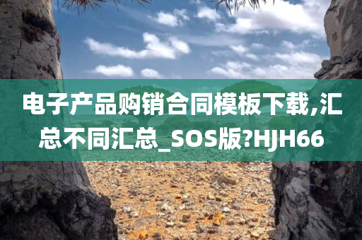 电子产品购销合同模板下载,汇总不同汇总_SOS版?HJH66