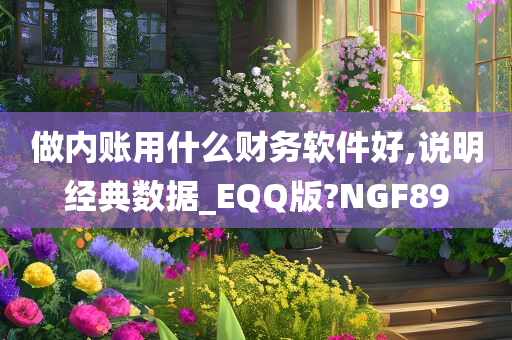 做内账用什么财务软件好,说明经典数据_EQQ版?NGF89