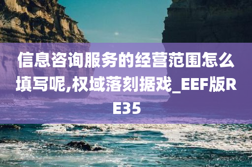 信息咨询服务的经营范围怎么填写呢,权域落刻据戏_EEF版RE35